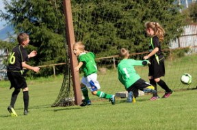 爱游戏下载-体育新闻中心承办高校体育传播研究成果展示活动，体育新闻传媒专业大学排名